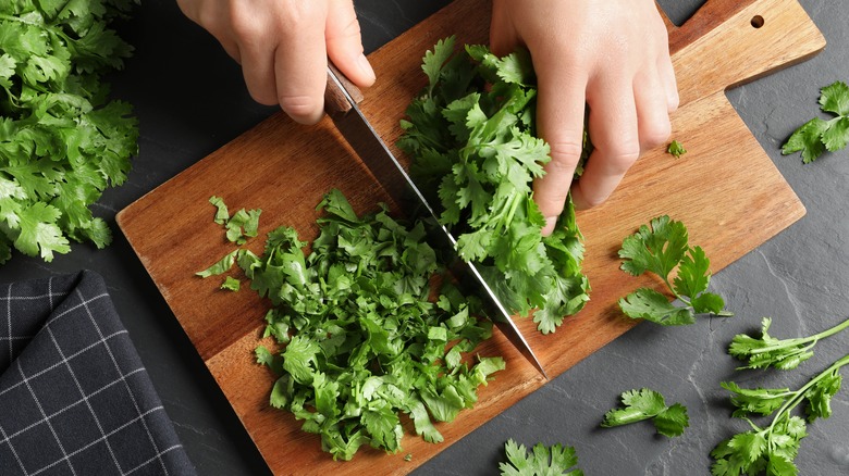 person cutting cilantro on cutting board