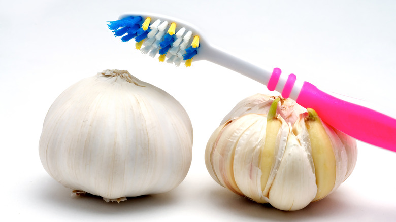 A toothbrush sitting on an angle on one garlic bulb, which is sitting next to a second garlic bulb