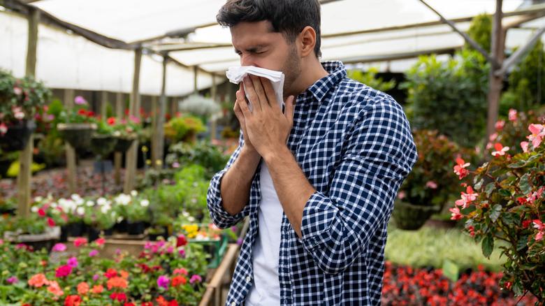 Man with allergies sneezing at flowers