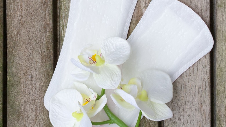 pads with white and yellow flowers