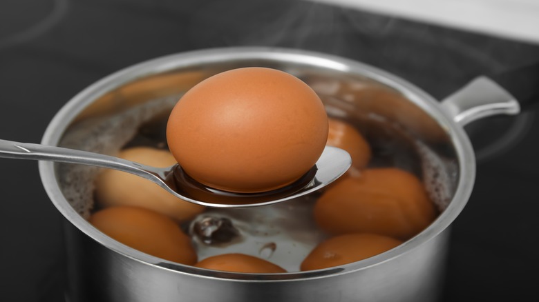 Adding an egg to pot for boiled eggs