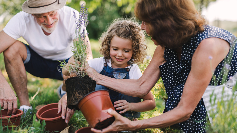 Child and two adults gardening