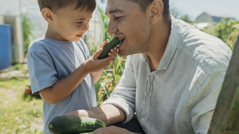 child feeding man a cucumber