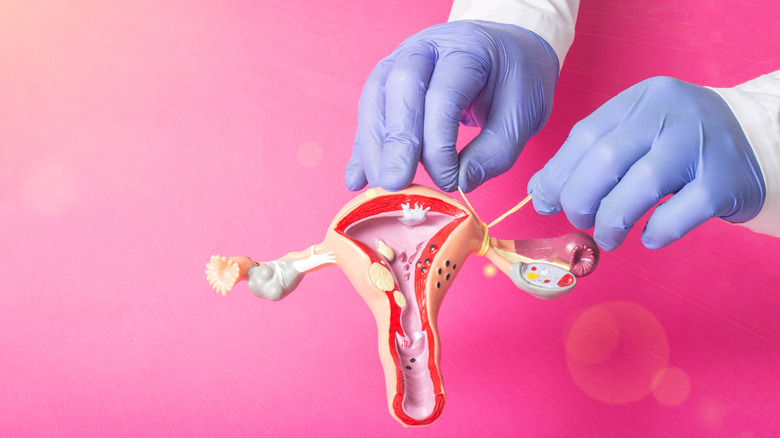 Doctor demonstrating a tubal ligation procedure on a model