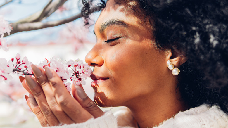 Woman smelling cherry blossom flowers