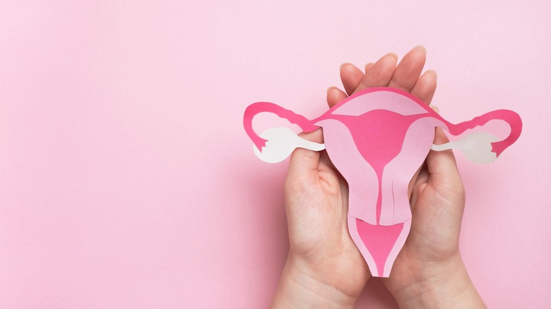 Hands holding paper cutout of uterus