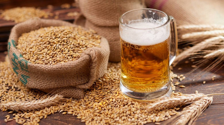 Glass of beer and wheat