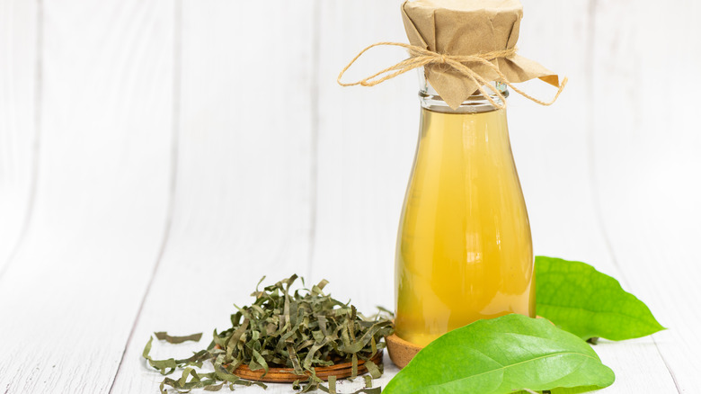 kombucha tea in glass jar