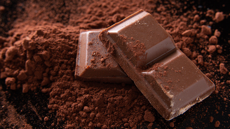 dark chocolate pieces on cocao powder