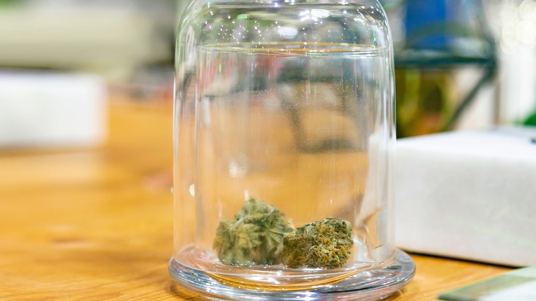 Dried cannabis in glass container