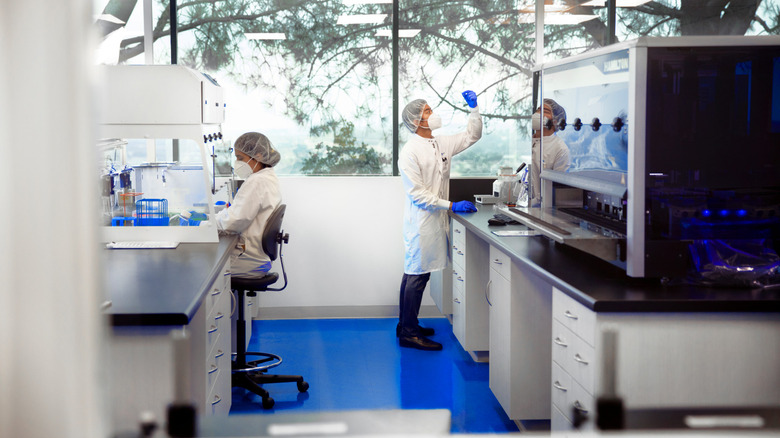Scientists working in the DermTech Gene Lab