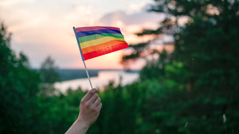 Hand waves a Pride flag