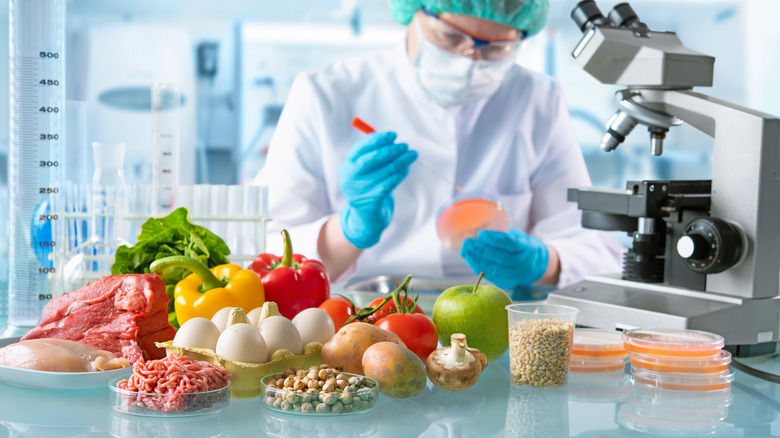 Scientist examining food in a lab