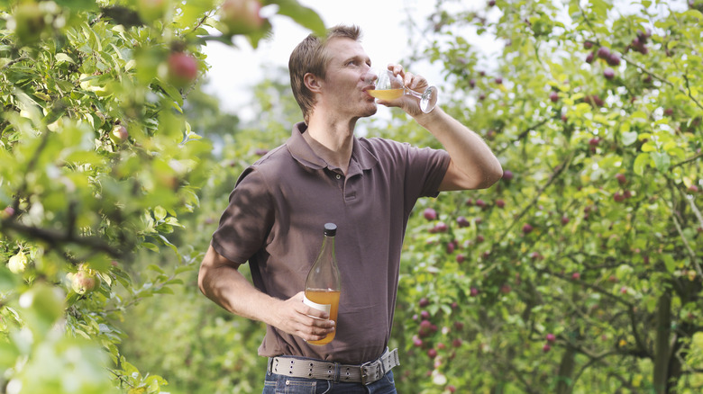 A man drinking a glass of apple cider in an apple orchard