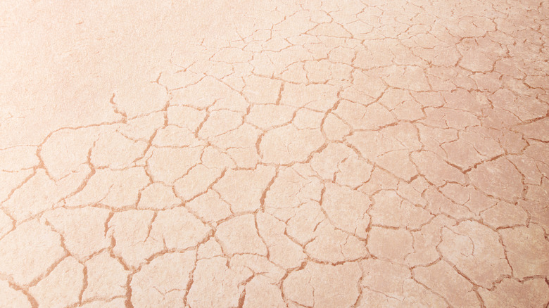 close up of cracked skin