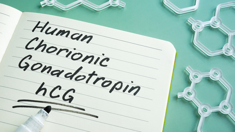 Human Chorionic Gonadotropin written on doctors pad.