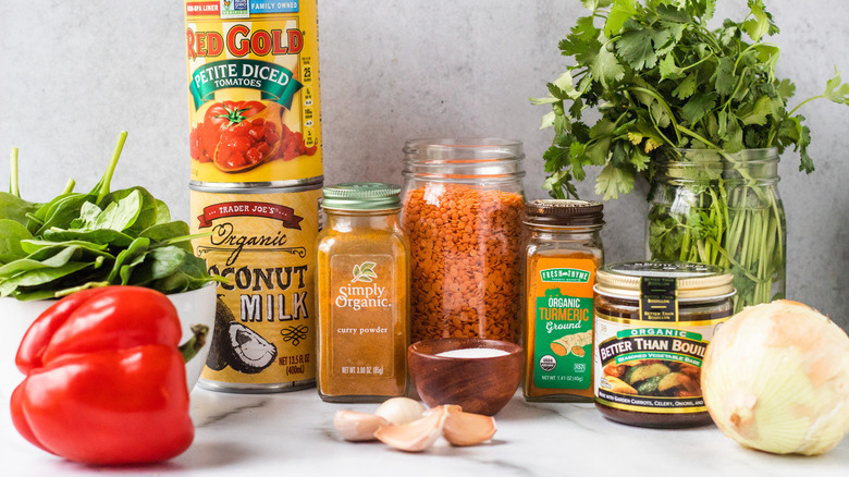 ingredients needed to make lentil curry soup