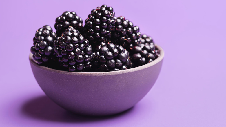 A lavender bowl filled with blackberries against a lavender background