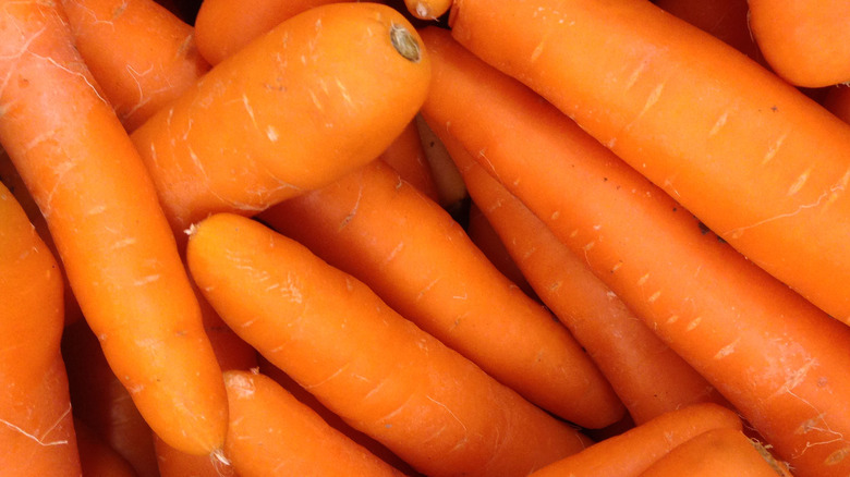 A bunch of carrots