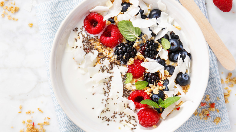 bowl of greek yogurt with berries