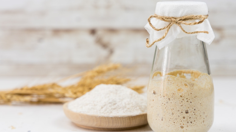 A jar of sourdough starter next to flour