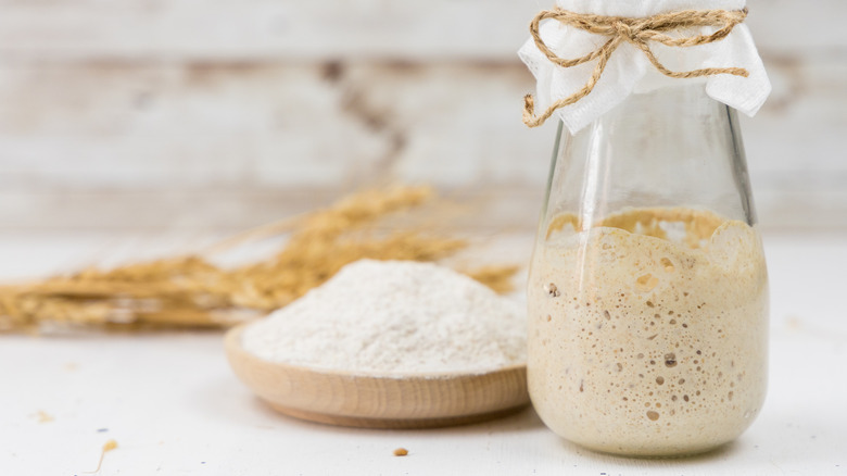 A jar of sourdough starter next to some flour