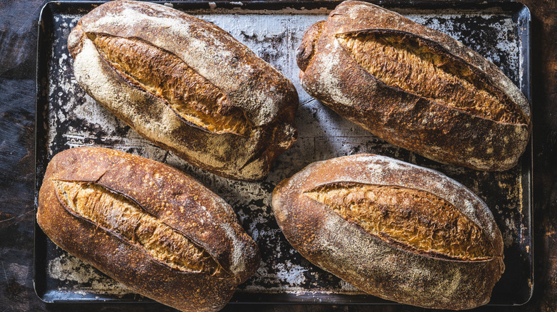 four loaves of fresh-baked sourdough bread