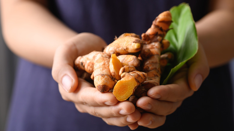 woman's hands holding fresh turmeric