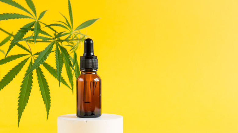 A tincture of CBD oil