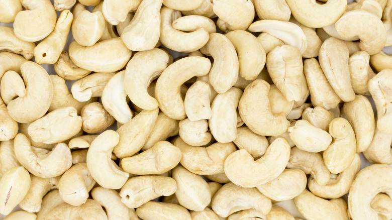 cashews close up shot