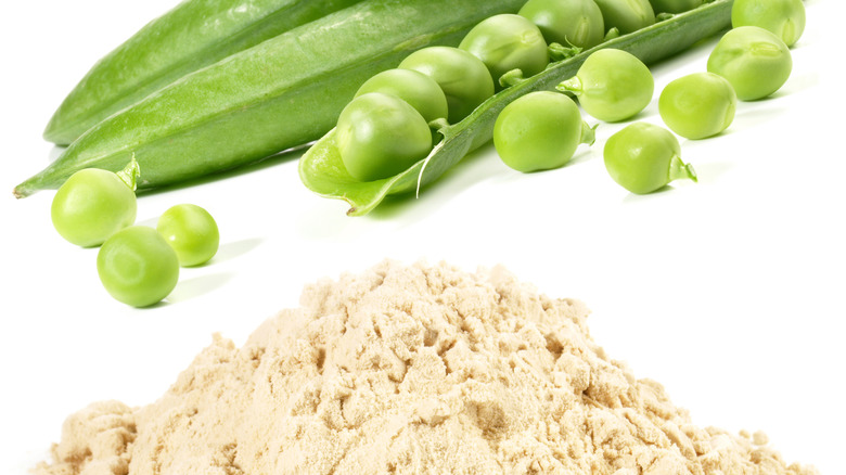 pea protein powder on white