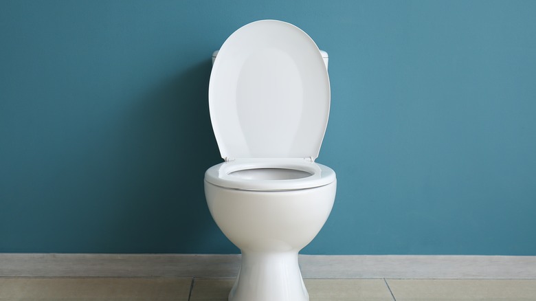 simple toilet bowl in blue bathroom
