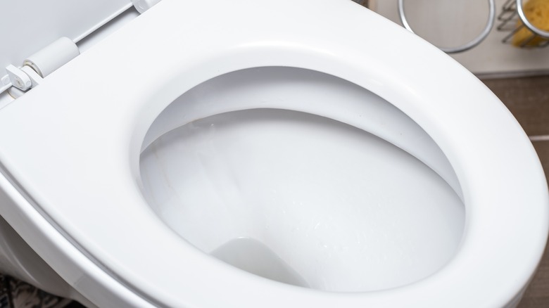 white toilet set on bowl