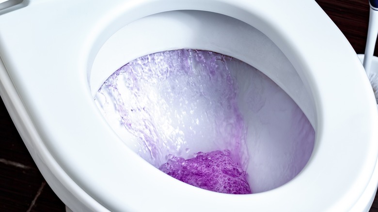 purple liquid in toilet bowl