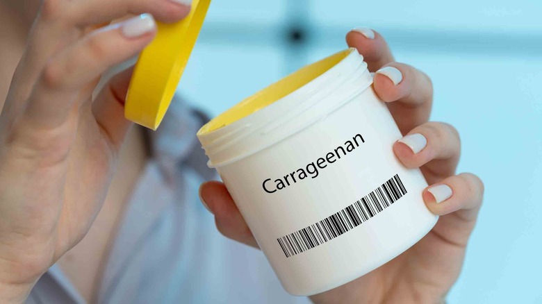 Close up of person holding carrageenan