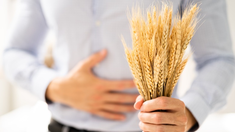 Person holding spikelet of wheat 