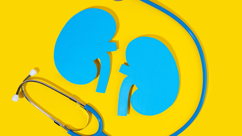 image of kidneys against yellow background