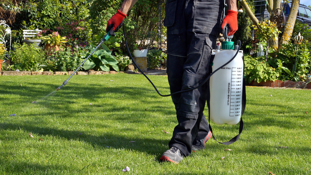 walking with insect spray bottle