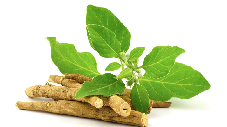 ashwagandha root