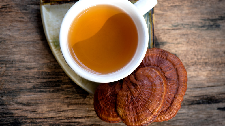 reishi mushroom and tea