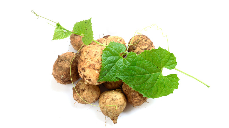 close-up of wild yam