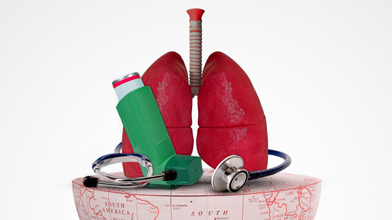  Bronchodilators and your lungs