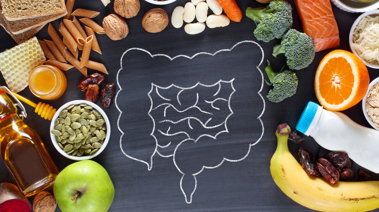 drawing of the gut surrounded by healthy food