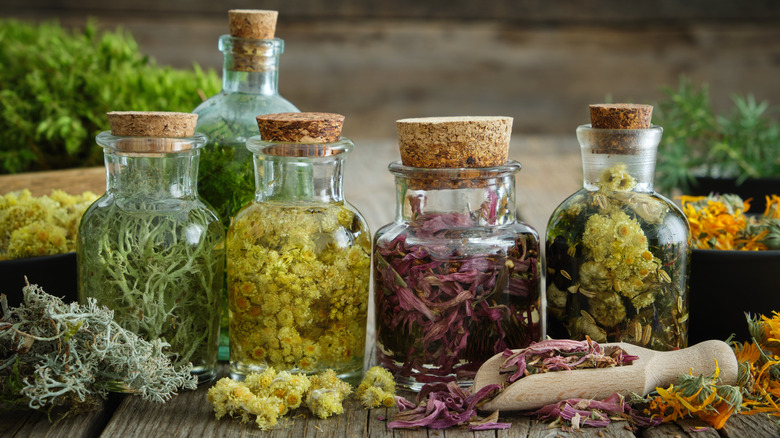 Medicinal herbs in jars