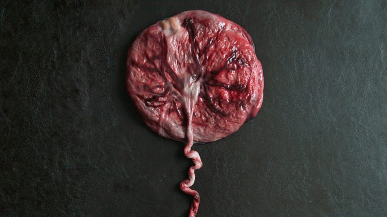 placenta on black background