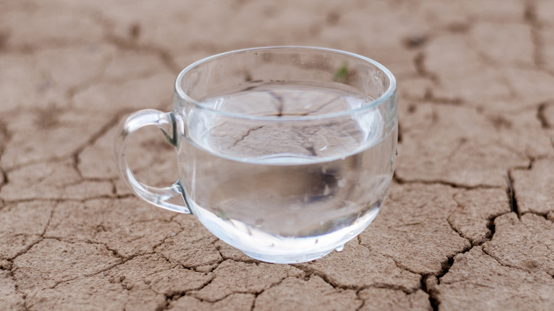 Cup of water on dry, cracked ground