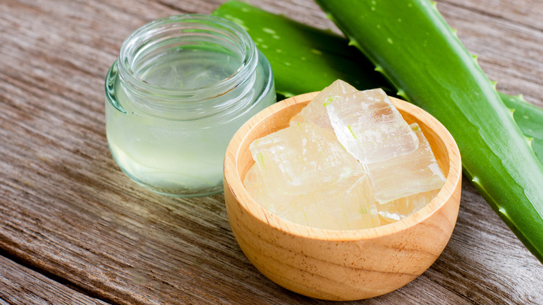 Aloe vera plant cuttings, gel, oil