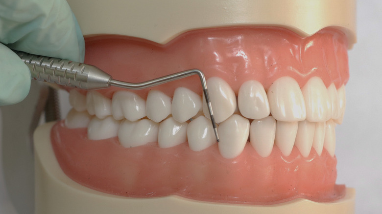 Model of the mouth and dental tool
