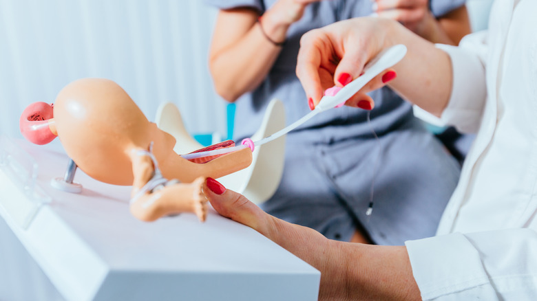 Doctor demonstrates the in vitro fertilization process on a model uterus