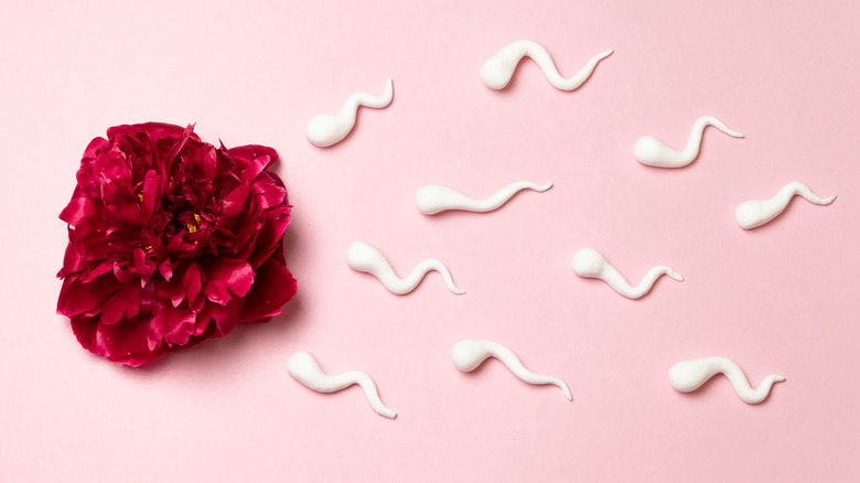 Model of white sperm "swimming" toward a red flower